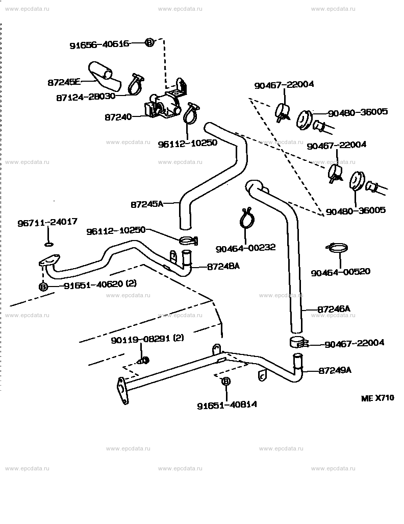 Scheme 1 Scheme 1